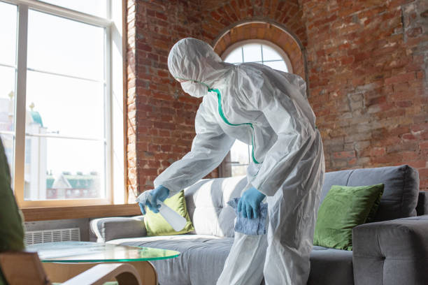 Trusted Powell, AL Mold Removal Services Experts